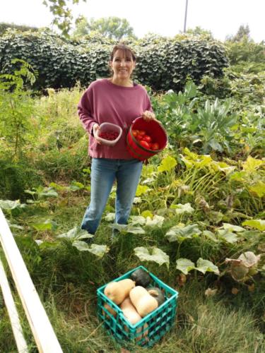 Harvest 2017