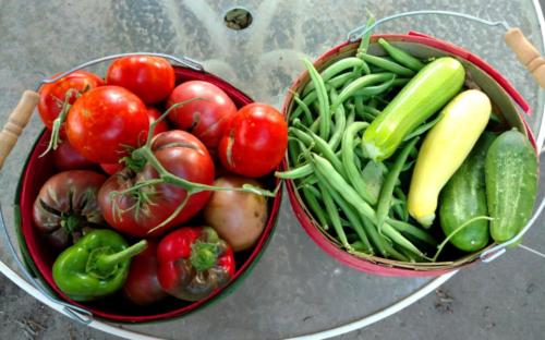 Harvest 2018